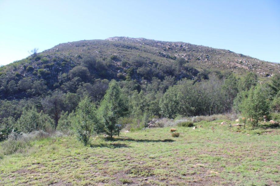 0 Bedroom Property for Sale in Haarlem Western Cape